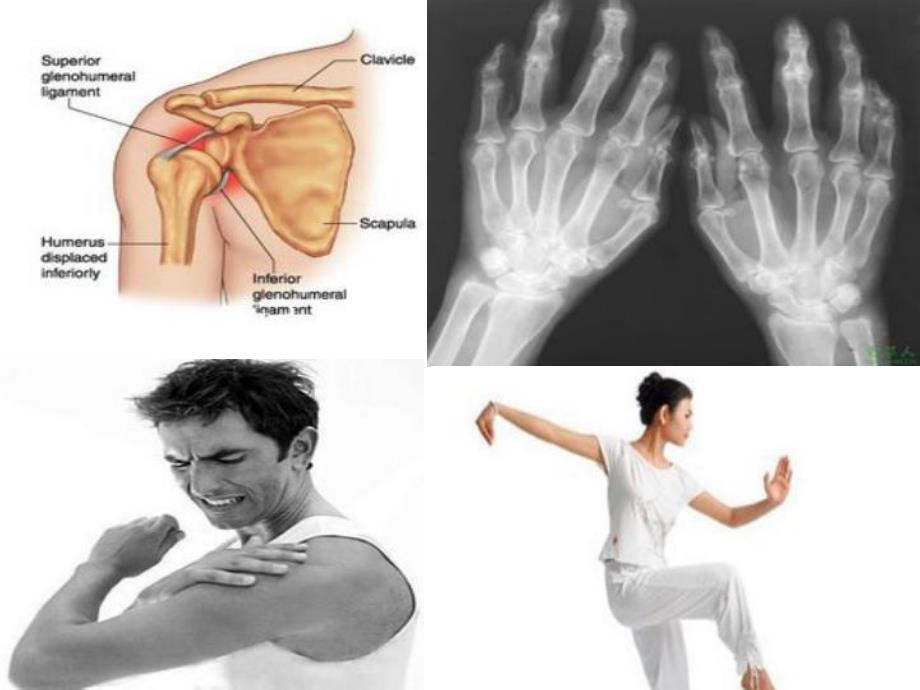 大班神奇的关节PPT课件教案PPT课件.pptx_第2页