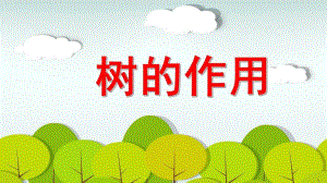 大班《树木的作用》PPT课件教案大班树木的作用.pptx