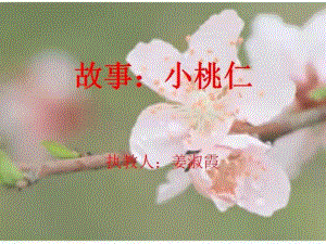 大班语言《小桃仁》大班语言《小桃仁》课件.pptx