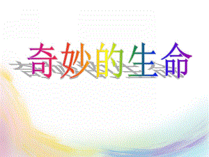 大班科学《奇妙的生命》PPT课件教案奇妙的生命.pptx