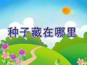 大班科学活动《种子藏在哪里》PPT课件教案大班科学：种子藏在哪里.pptx