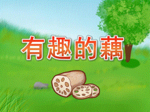 大班科学《有趣的藕》PPT课件教案大班科学课件《有趣的藕》PPT课件.pptx