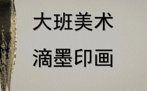 大班美术活动《滴墨印画》PPT课件教案滴墨印画.pptx