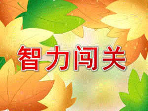 大班数学《智力闯关》PPT课件教案大班数学《智力闯关》课件.pptx