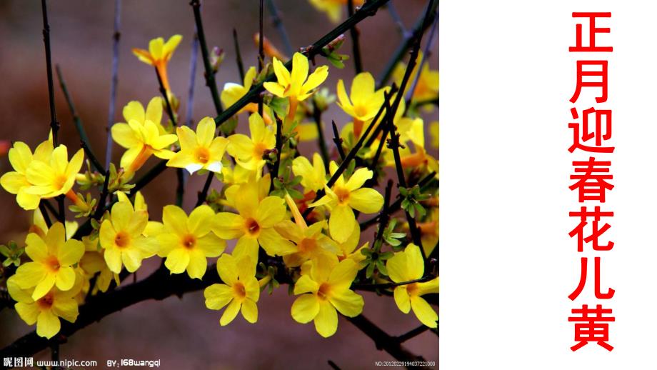 大班《十二月花开》PPT课件教案.pptx_第3页