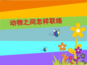 大班科学《动物之间怎样联络》PPT课件教案动物之间怎样联络.pptx