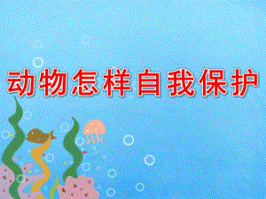 大班《动物怎样自我保护》PPT课件教案PPT课件.pptx