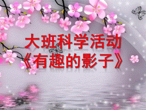大班科学优质课《有趣的影子》PPT课件教案微课件.pptx