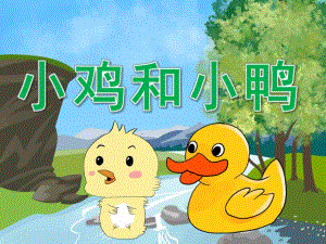 中班语言故事《小鸡和小鸭》PPT课件教案PPT课件.pptx