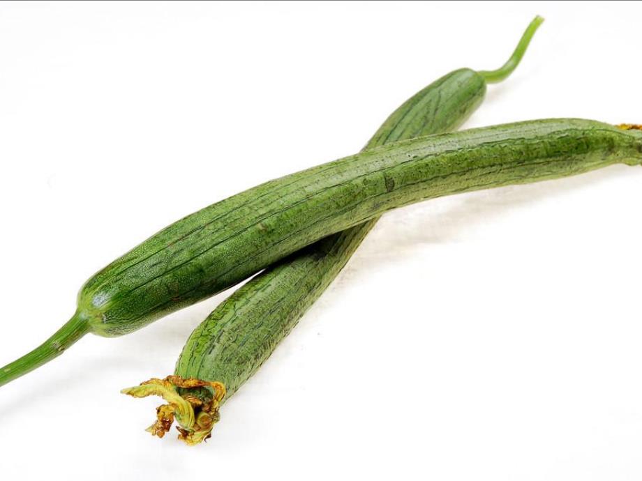 中班美术活动《细细长长的丝瓜》PPT课件教案中班美术活动：细细长长的丝瓜.pptx_第2页