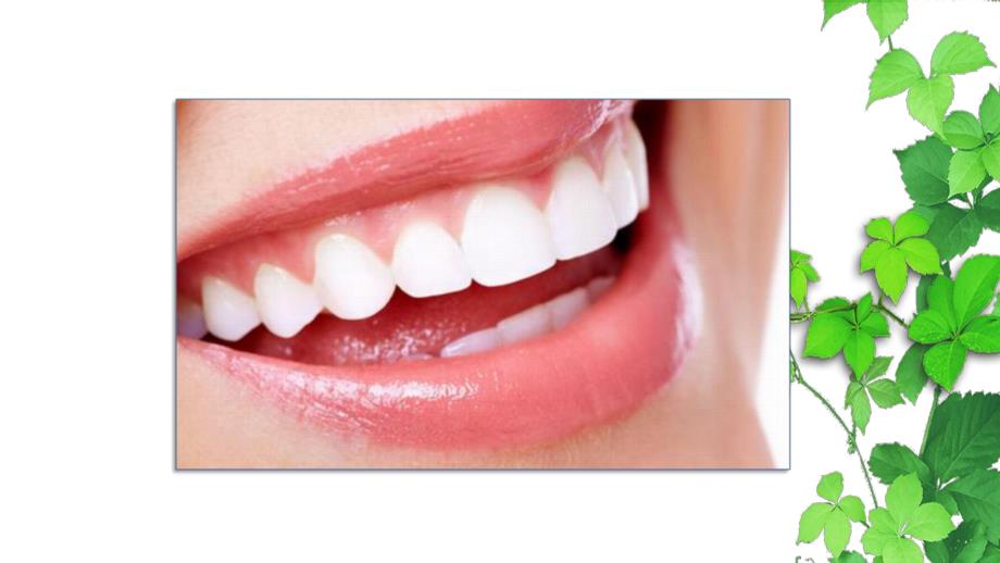 小班健康《天天刷牙好》PPT课件教案小班健康--天天刷牙好.pptx_第3页