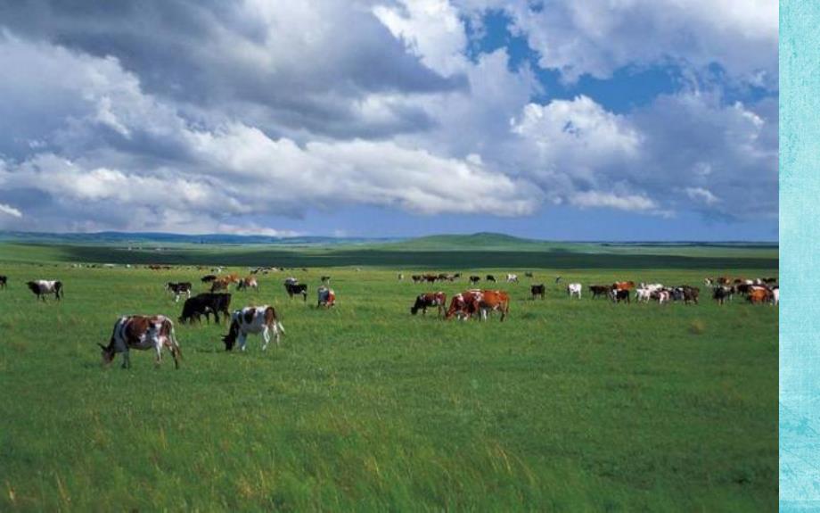 大班社会《我爱地球》PPT课件我们爱地球.pptx_第2页