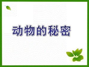 大班科学公开课《动物的秘密》PPT课件大班科学：动物的秘密.pptx