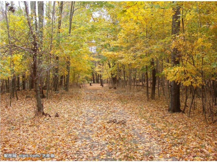 大班综合《我知道的天》PPT课件教案大班综合：我知道的天.pptx_第3页