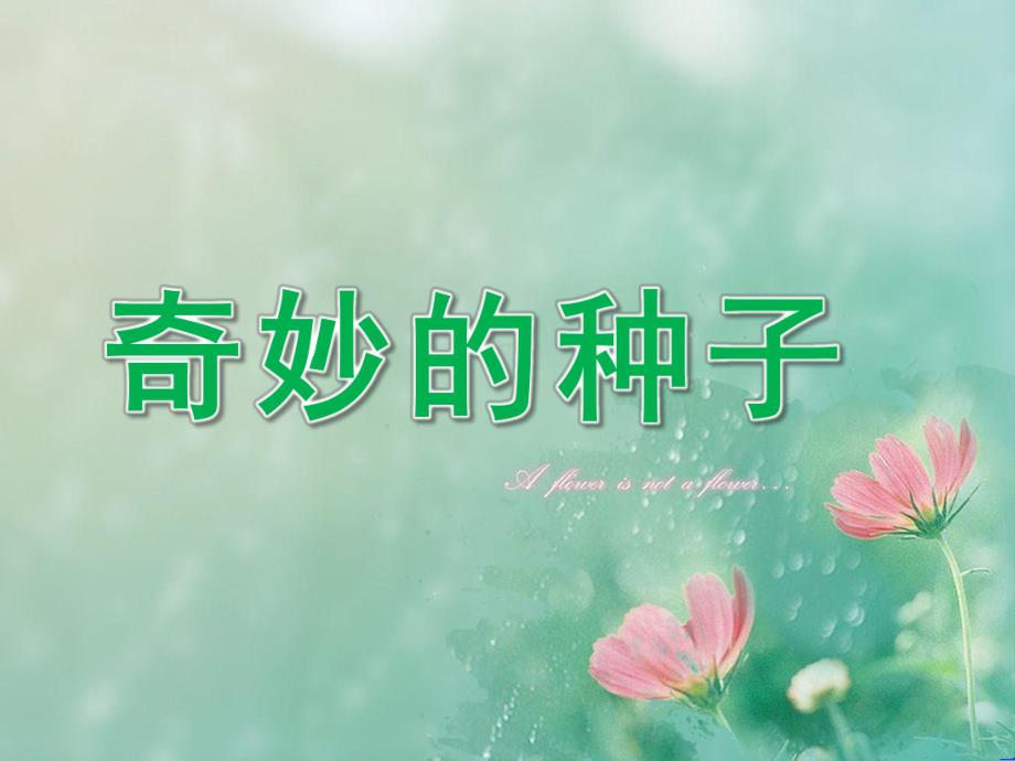 大班科学《奇妙的种子》PPT课件教案大班科学-奇妙的种子.pptx_第1页