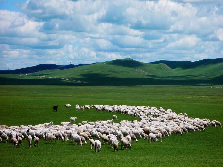 大班亲子韵律《草原上的游戏》PPT课件教案配乐酒歌.pptx_第3页