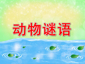 动物谜语PPT课件教案图片中班：动物谜语.pptx