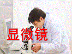 大班科学《显微镜》PPT课件显微镜(大班.pptx
