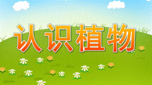大班语言科学《认识植物》PPT课件教案大班语言：幼儿园的植物.pptx