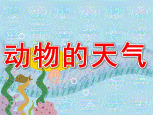 大班科学《动物的天气》PPT课件教案PPT课件.pptx