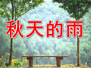 大班语言《天的雨》PPT课件教案大班语言教案：天的雨.pptx