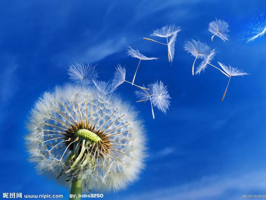 小班数学《5以内数与量的对应》PPT课件教案5以内数与量的对应.pptx_第3页