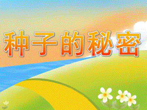 大班科学《种子的秘密》PPT课件教案PPT课件.pptx