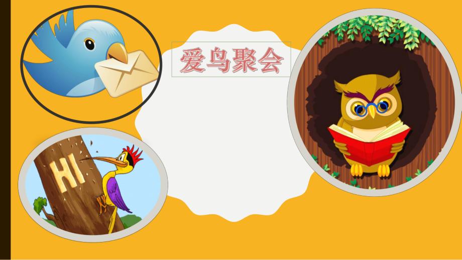 大班社会《爱鸟聚会》PPT课件教案微课件.pptx_第1页