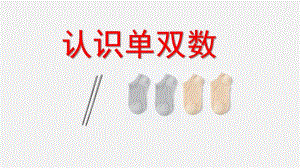 大班数学课件《认识单双数》PPT课件教案大班认识单双数.pptx