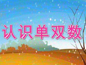 大班数学活动《认识单双数》PPT课件教案.pptx