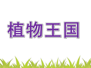 大班科学《植物王国》PPT课件教案160323-幼儿园讲课PPT-植物.pptx