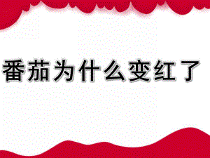 大班科学《番茄为什么变红了》PPT课件大班科学：番茄为什么变红了.pptx