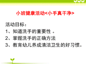小班健康《小手真干净》PPT课件教案小手真干净.pptx