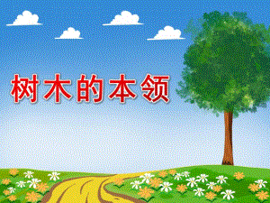 大班科学《树木的本领》PPT课件教案微课件.pptx