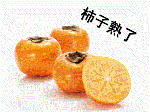 大班《柿子熟了》PPT课件教案大班柿子熟了.pptx