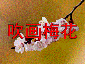 吹画梅花PPT课件教案图片大班美术《吹画---梅花》.pptx