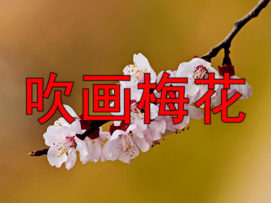 吹画梅花PPT课件教案图片大班美术《吹画---梅花》.pptx_第1页