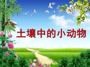 大班科学《土壤中的小动物》PPT课件科学土壤中的小动物.pptx