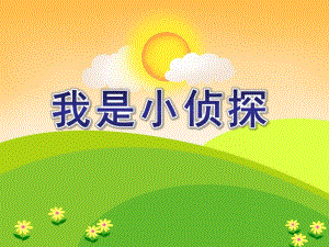 小班数学《我是小侦探》PPT课件教案我是小侦探.pptx