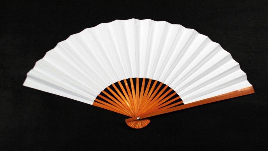 大班美术《有趣的扇子》PPT课件教案《漂亮的扇子》.pptx_第2页