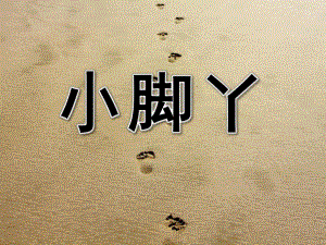 可爱的小脚丫PPT课件教案图片PPT课件.pptx