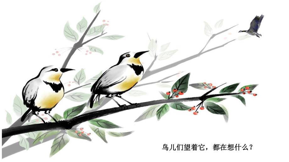 大班社会《快乐的多泽》PPT课件教案大班社会《快乐的多泽》微课件.pptx_第3页