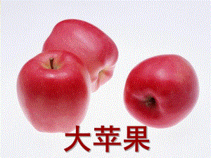大班美术活动《大苹果》PPT课件教案大班美术活动《大苹果》.pptx