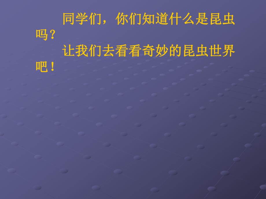 中班认识昆虫PPT课件教案中班认识昆虫.pptx_第2页