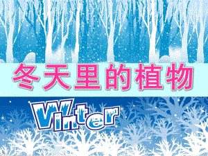 大班科学《冬天里的植物》PPT课件教案PPT课件.pptx