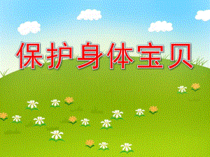 大班生活与健康《保护身体宝贝》PPT课件教案PPT课件.pptx