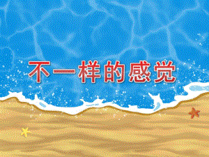 小班科学《不一样的感觉》PPT课件教案小班科学《不一样的感觉》课件.pptx