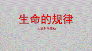 大班科学《生命的规律》PPT课件大班科学《生命的规律》.pptx