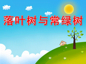 大班科学《落叶树与常绿树》PPT课件教案配音PPT课件.pptx