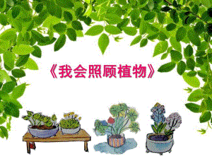 大班科学《我会照顾植物》PPT课件幼儿园大班课件《我会照顾植物》.pptx